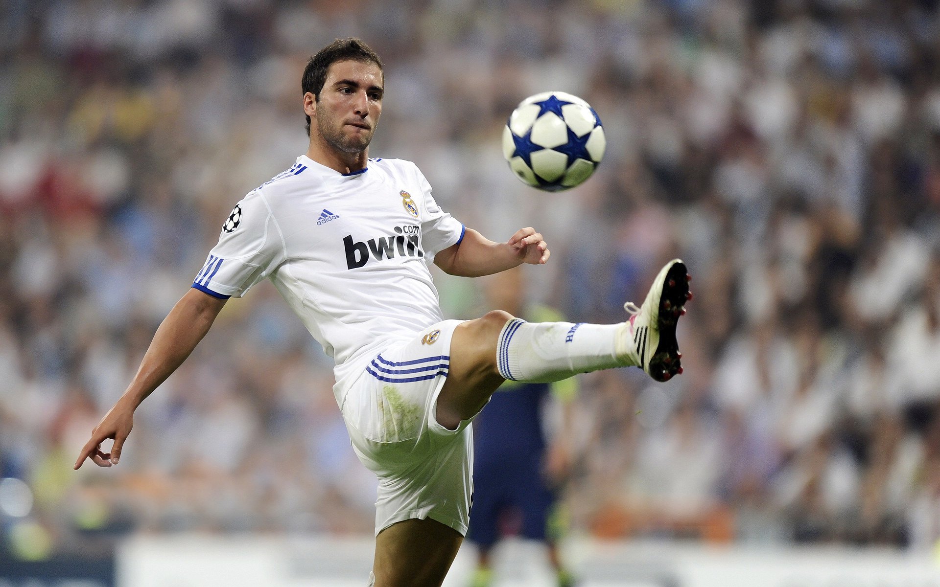 足球赛事年度热点